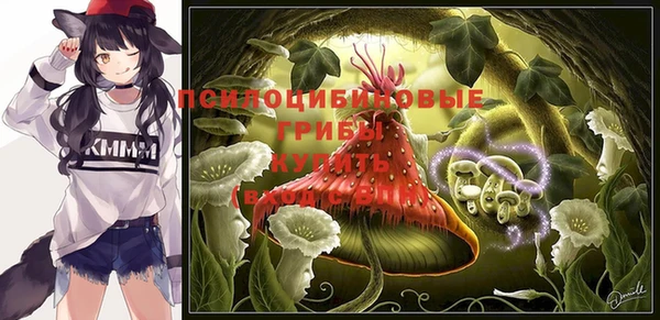 альфа пвп Осинники
