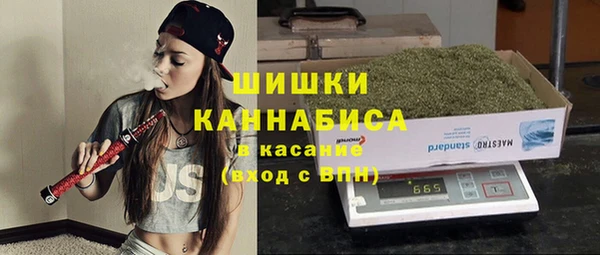 spice Пестово