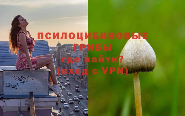 альфа пвп Осинники
