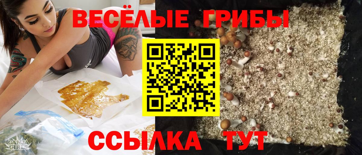 Галлюциногенные грибы GOLDEN TEACHER  Лангепас  Галлюциногенные грибы MAGIC MUSHROOMS 